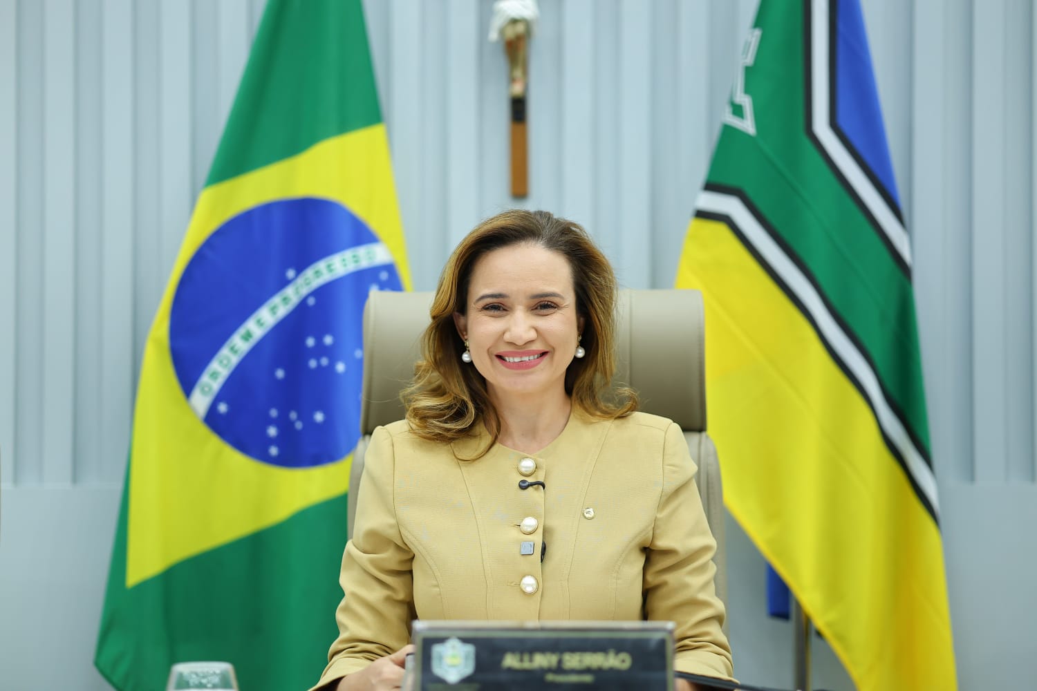 Plenário aprova criação da Medalha Sulamir Monassa para homenagear mulheres advogadas